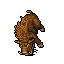 Boar
