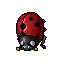 Ladybug