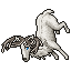 Whitedeer